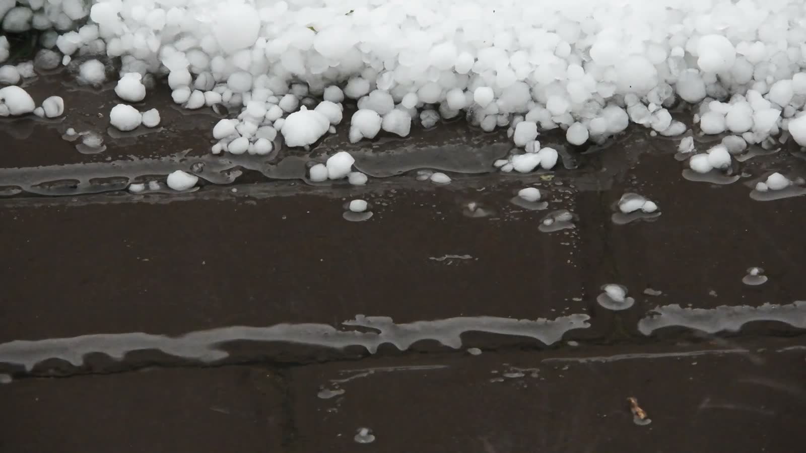 Hail impact bruising across a roof slope, the damage behind a denied Marathon, FL hail damage insurance claim