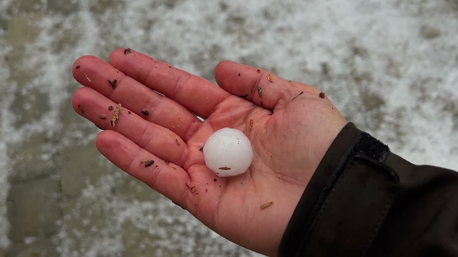 Hail & storm damage?