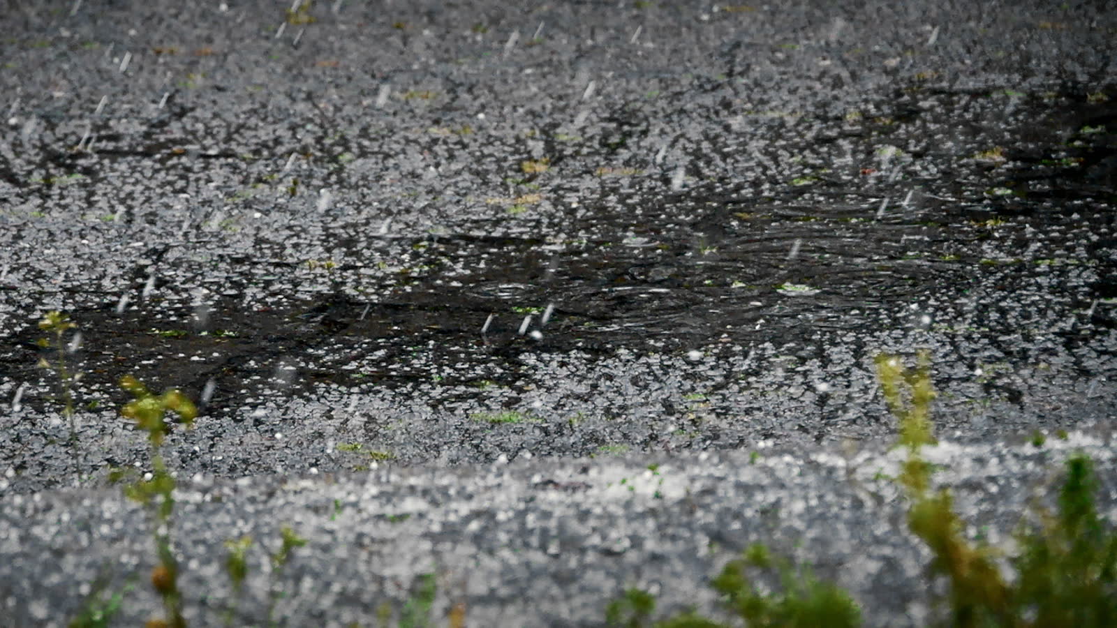 Hail impact bruising across a roof slope, the damage behind a denied Panama City Beach, FL hail damage insurance claim