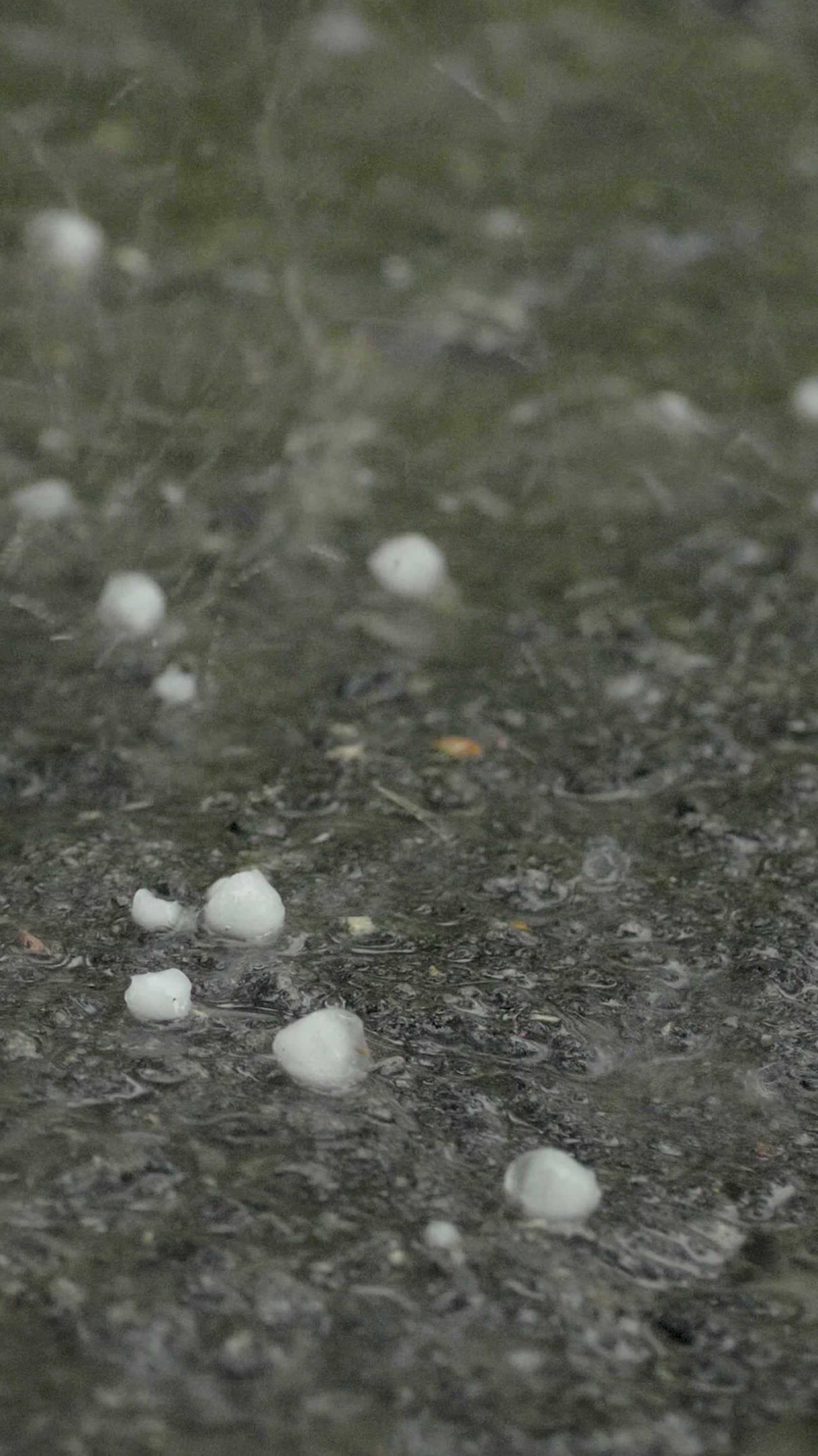Hail impact bruising across a roof slope, the damage behind a denied Bradenton, FL hail damage insurance claim