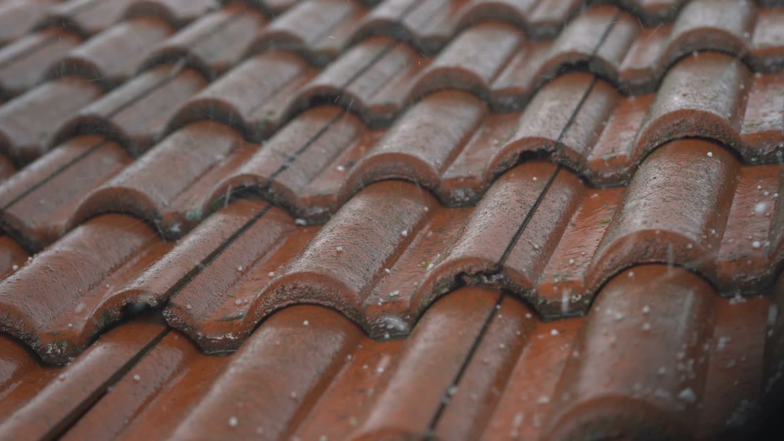 Hail impact bruising across a roof slope, the damage behind a denied Dunedin, FL hail damage insurance claim