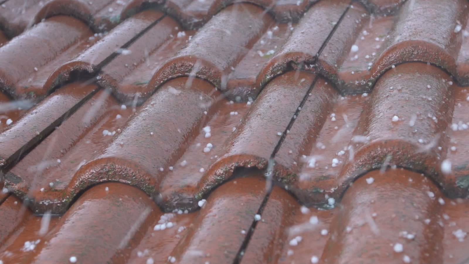 Hail impact bruising across a roof slope, the damage behind a denied Sarasota, FL hail damage insurance claim