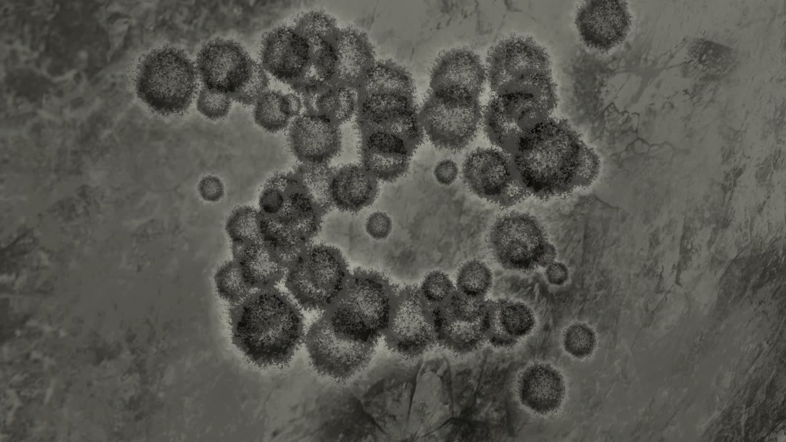 mold-damage-claim-expanding-clusters-abstract-microscopic.mp4