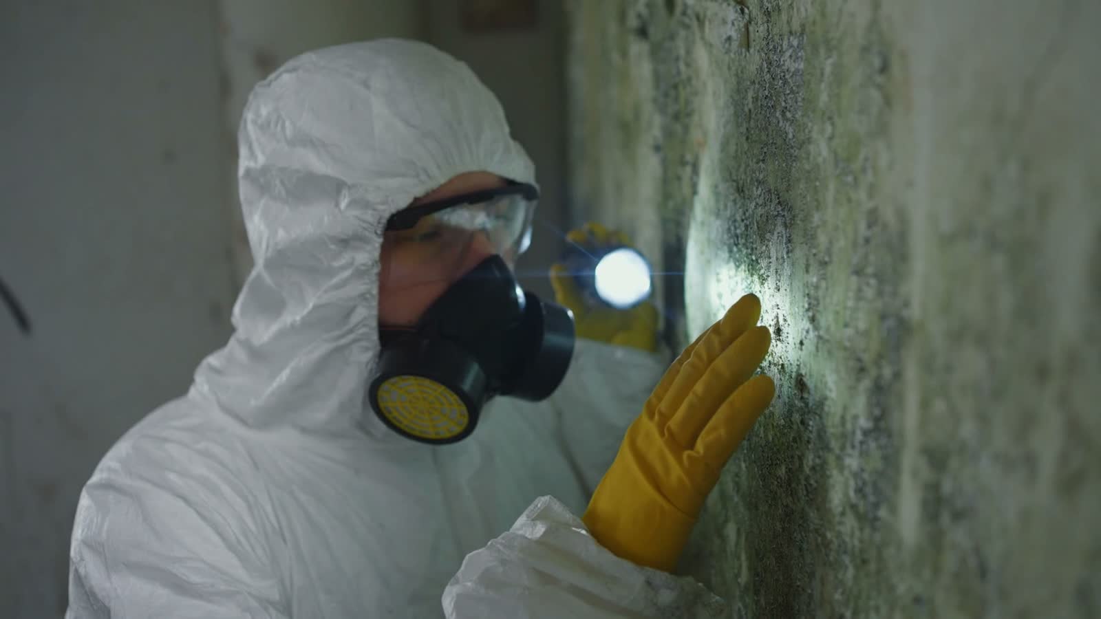 mold-damage-claim-inspect.mp4