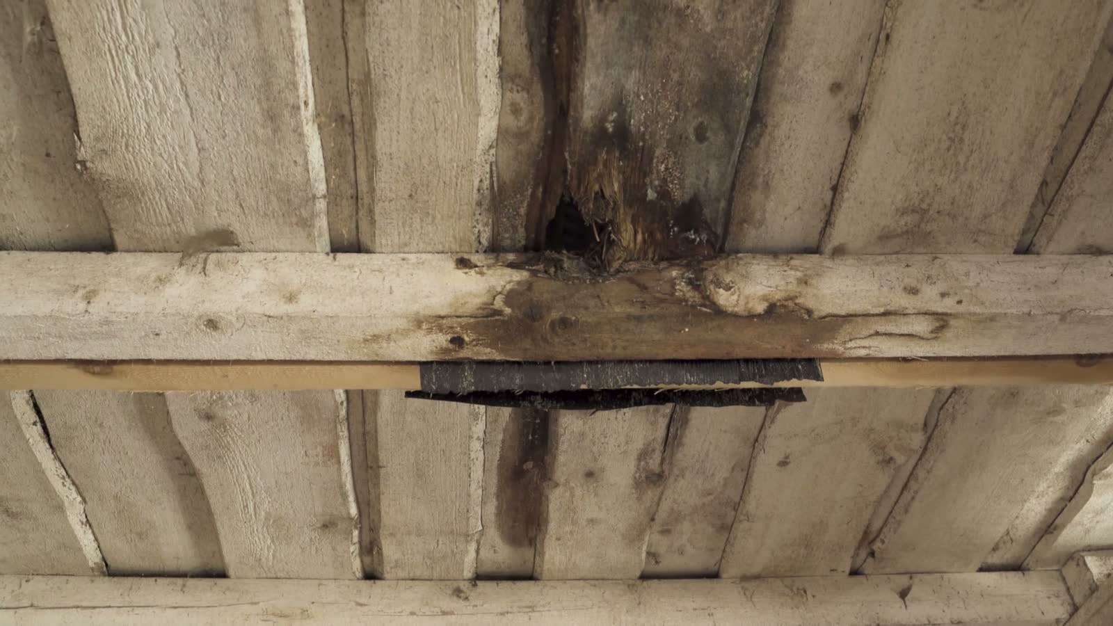 Wind-driven rain forced through a roof and into the ceiling below, the damage behind a denied Punta Gorda, FL wind-driven rain claim