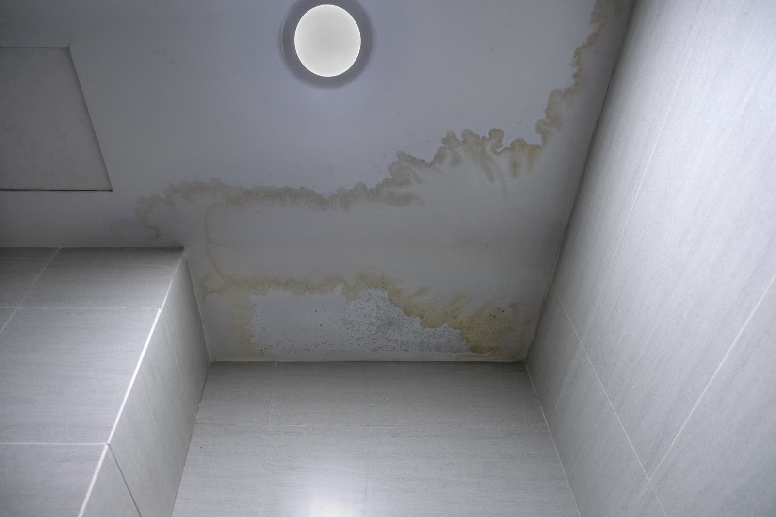 Water damage staining an interior ceiling
