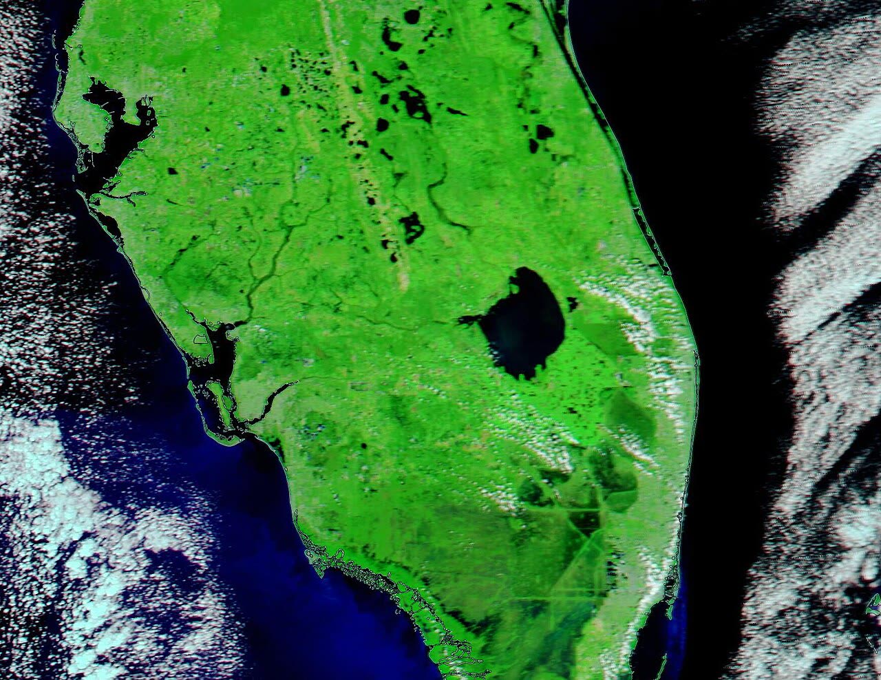 Satellite view of Florida's swollen rivers, including the Peace River basin, five days after landfall