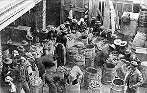 Red Cross workers sort seed potatoes to replant inundated Sea Islands fields, the operation ran 10 months