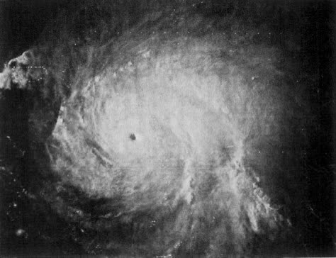 Hurricane David