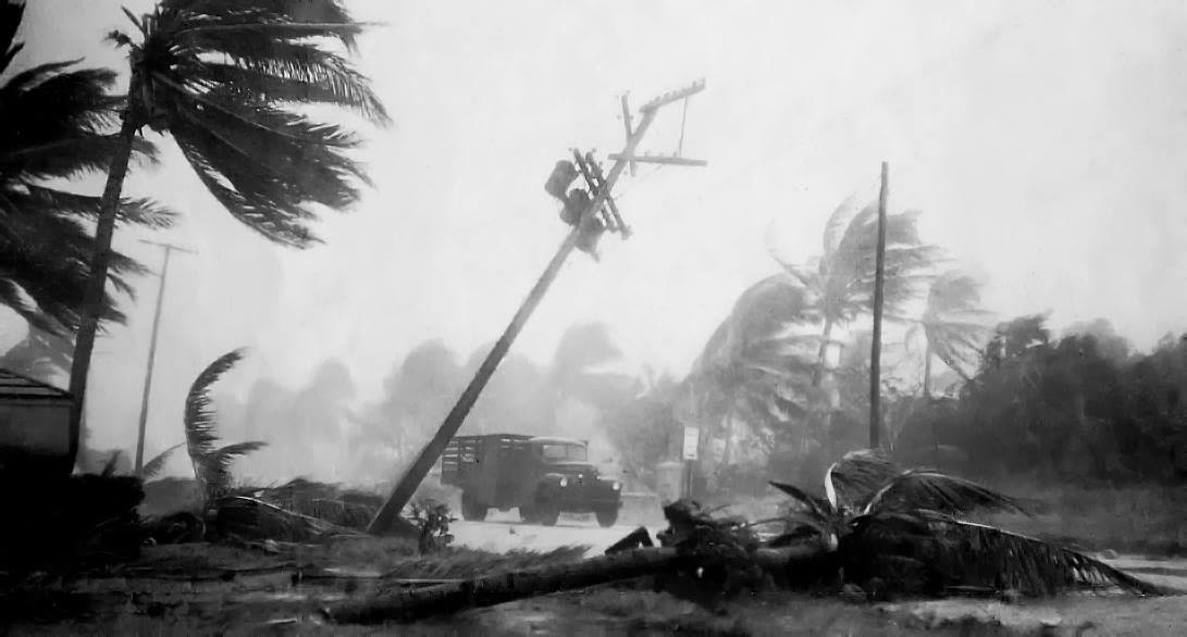 Downed trees and power poles in the Fort Lauderdale area after landfall