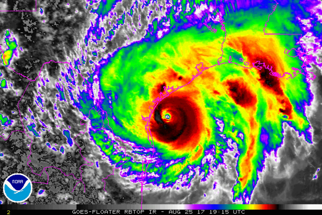 Enhanced infrared satellite loop of Harvey intensifying to Category 4 on landfall day, August 25, 2017