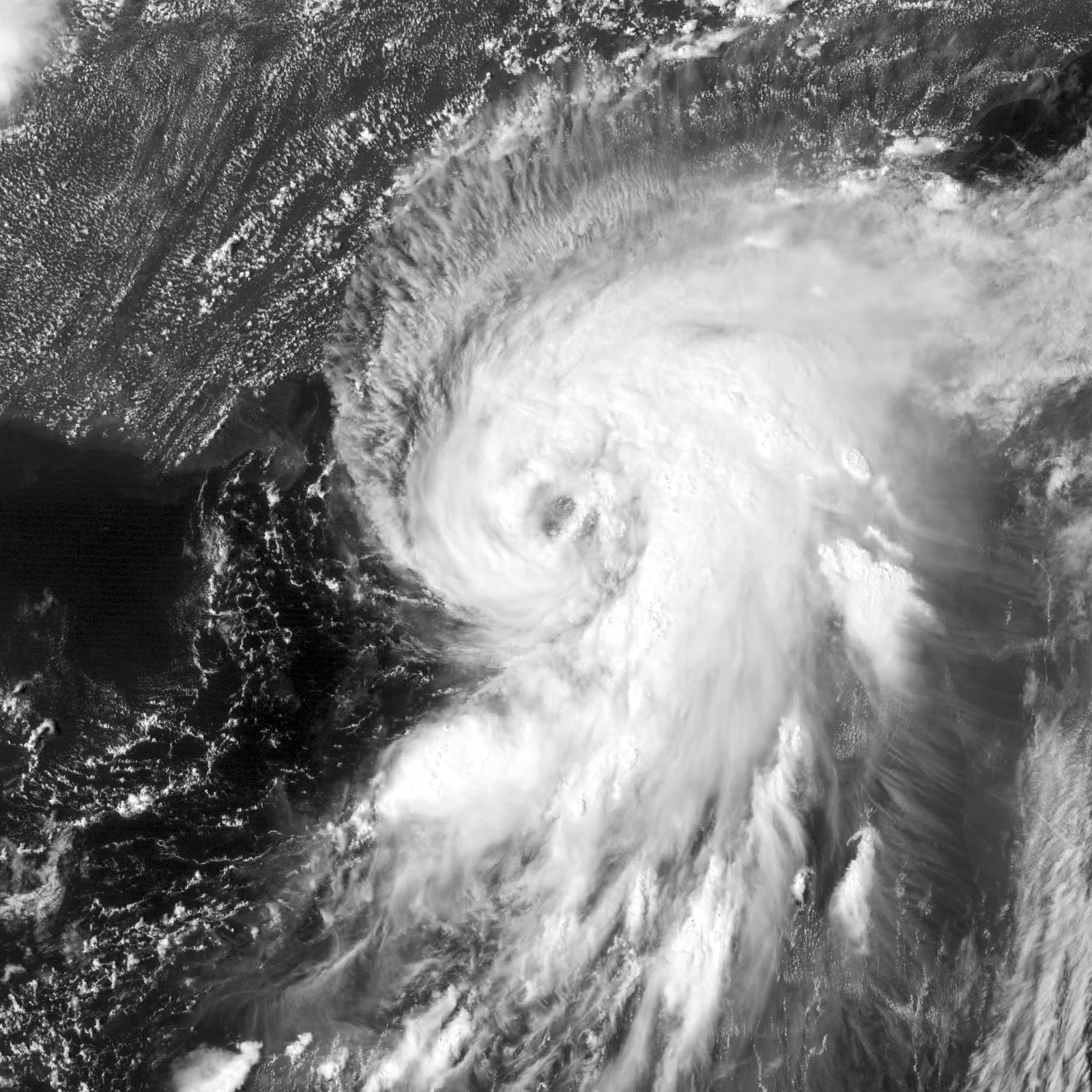 Enhanced satellite view of Hermine reaching hurricane strength in the Gulf, September 1, 2016