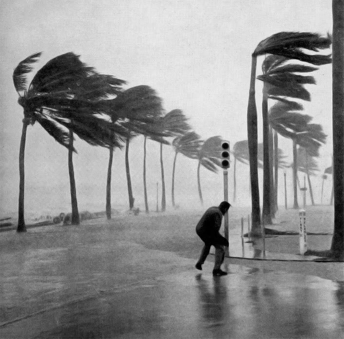 A man leans into the hurricane's winds in South Florida, a system with hurricane-force winds extending 120 miles out