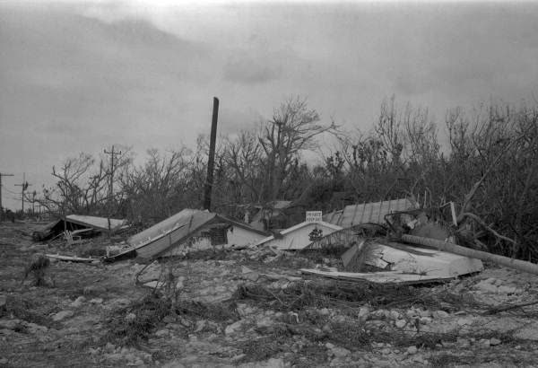 Rooftops torn open in Donna's wake, an estimated 75% of buildings between Marathon and Tavernier were damaged