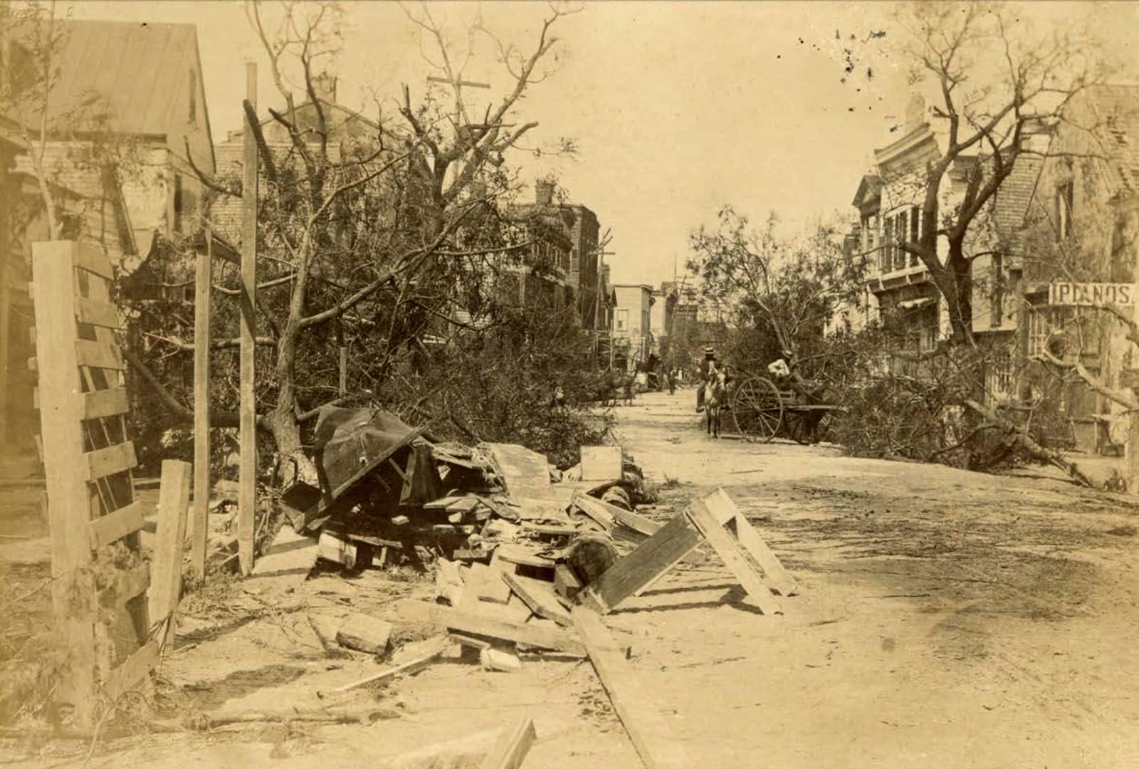 Trees and buildings down on Bay Street, Beaufort's commercial waterfront