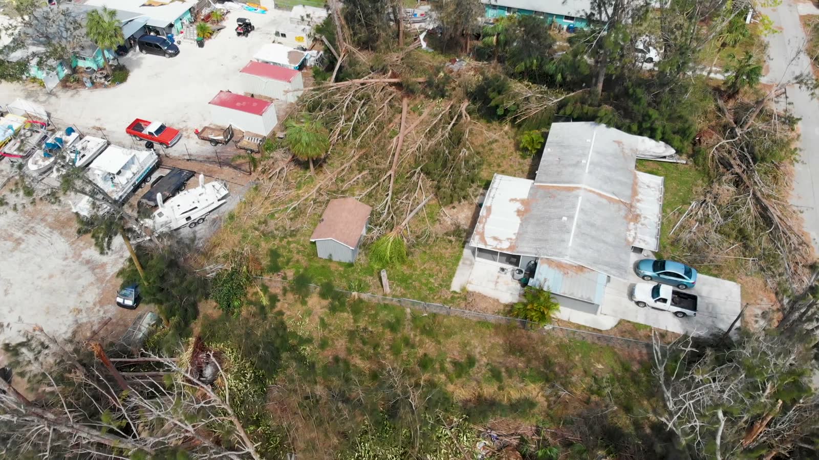 A fallen tree dropped through a house roof, the damage behind a denied Crestview, FL tree damage insurance claim