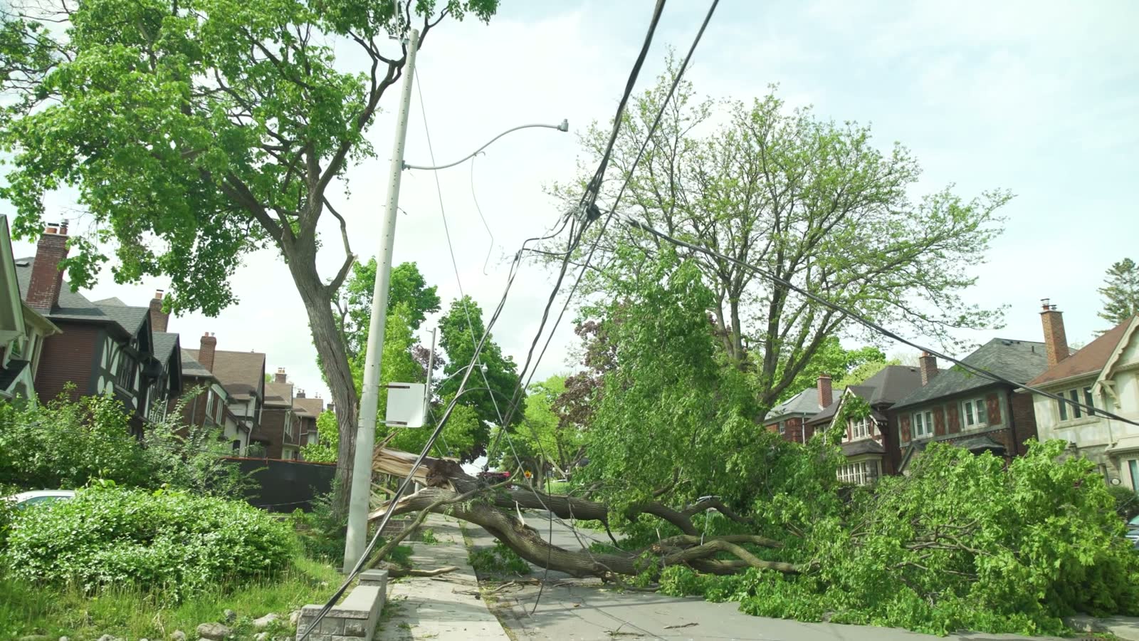 A fallen tree dropped through a house roof, the damage behind a denied Panama City Beach, FL tree damage insurance claim